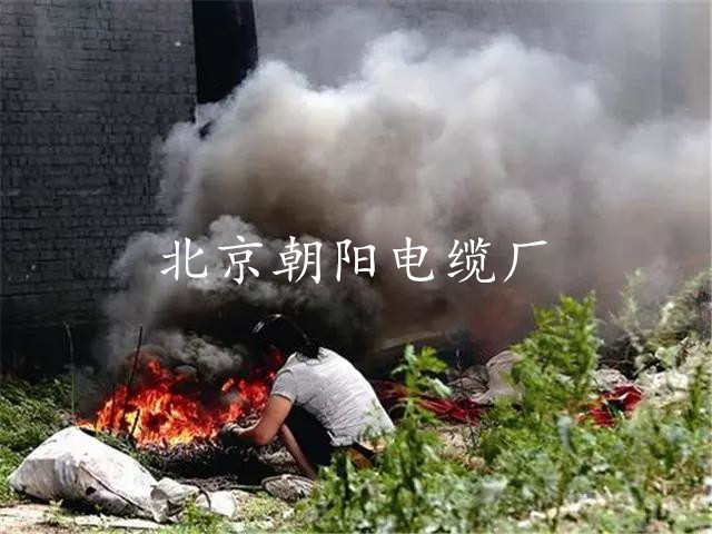 宝马118论坛神童精准